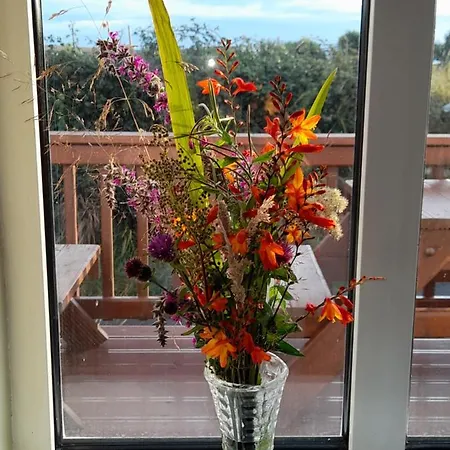 Pensión Lanelodge 3*