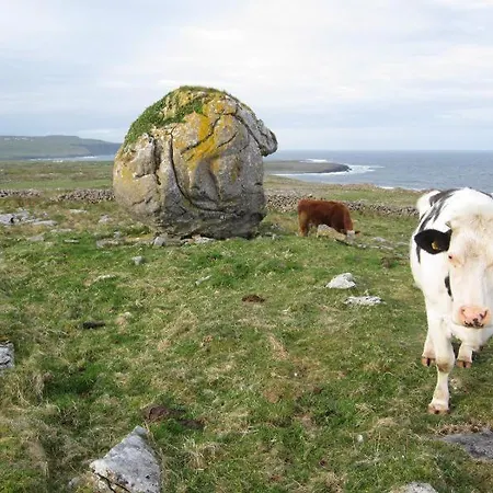 Lanelodge Doolin