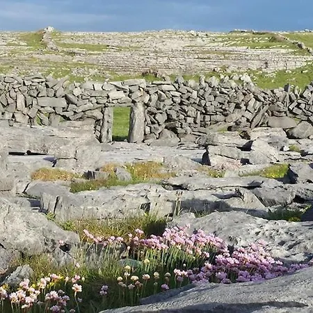 Lanelodge Pensión 3*