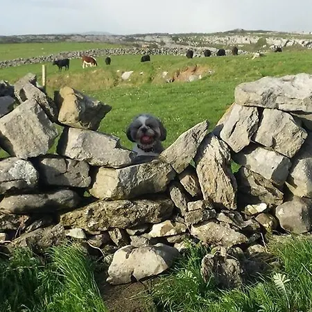 Lanelodge Doolin