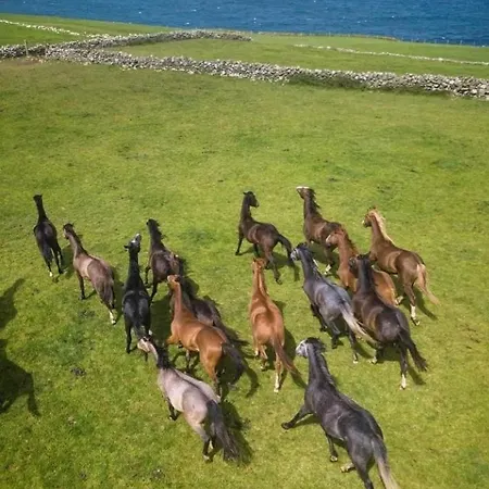 Lanelodge Doolin