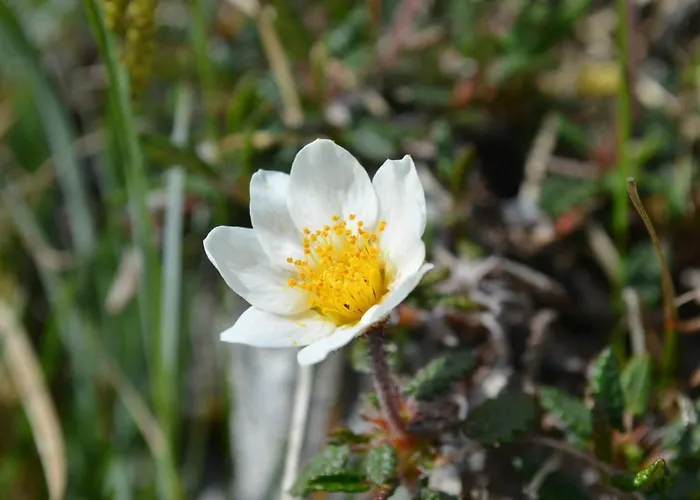 Lanelodge Πανσιόν