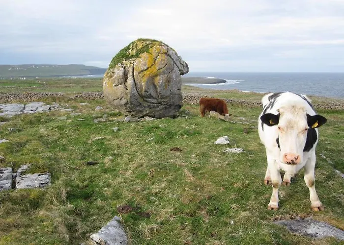 Lanelodge Doolin