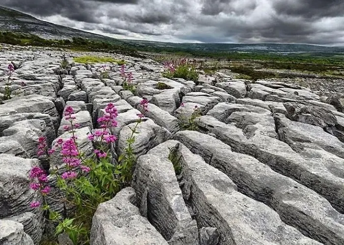 Lanelodge Πανσιόν